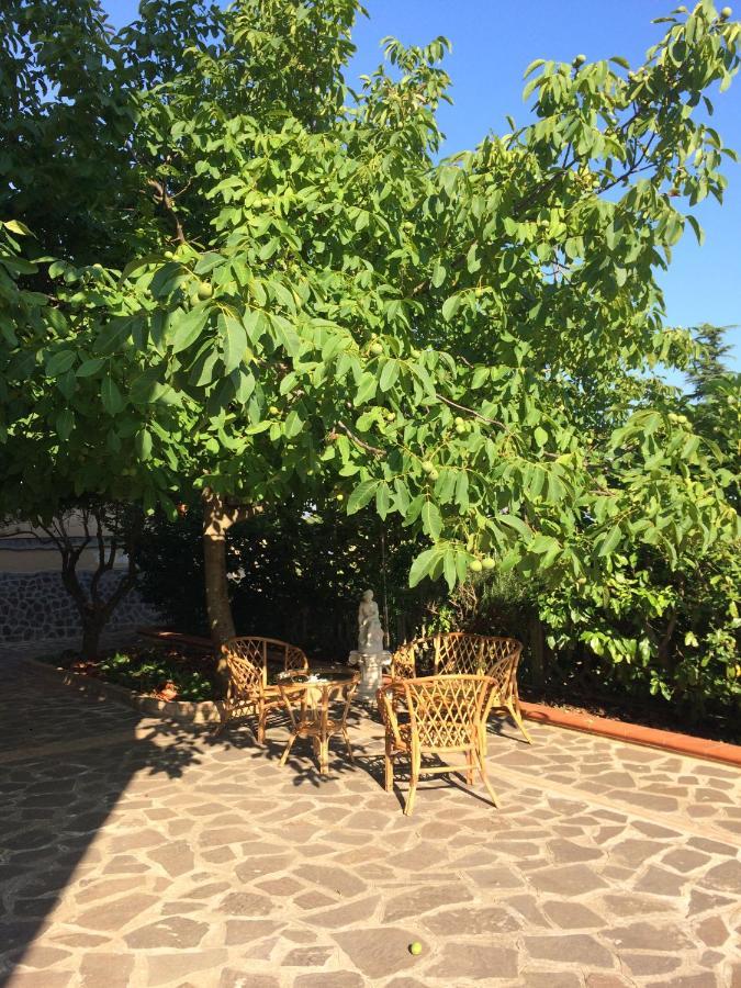 B&B "Croce Nivera" Vibo Valentia Luaran gambar